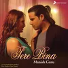 About Tere Bina Song