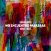 About No Encuentro Palabras Song