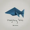 About Imaginary Love Song
