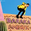 About Baraka Song