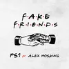 About Fake Friends Song