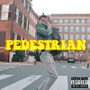 About Pedestrian Song