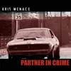 About Partner In Crime Song