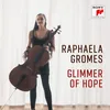 About Glimmer of Hope Song