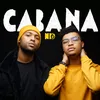 About Cabana Song