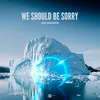 About We Should Be Sorry Song