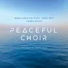 Wandering Soul (arr. for Choir from Hungarian Dance No.1, WoO 1 by David Reichelt)