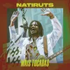 Presente de um Beija-Flor Natiruts Reggae Brasil - Ao Vivo