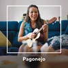 About Áudio (Ao Vivo em Brasília) Song