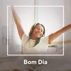 About Segundas Intenções Song