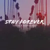 About Stay Forever Song