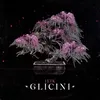 About Glicini Song