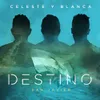 About Celeste y Blanca Song