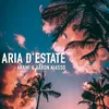 About Aria d'estate Song