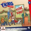 013 - Das verpfuschte Gemälde Titelsong