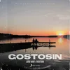About Gostosin (Acoustic) Song