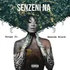 About Senzeni Na Song