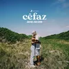 About Cê Faz Song