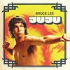 About Bruce Lee Song