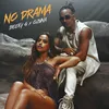 About No Drama Song