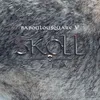 About Baboulousquare 5-Skoll Song