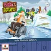 028 - Aufs Glatteis geführt Azuro Titelsong