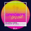 About Opposite Of Love Song