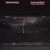 About Mad World (Steve James Remix) Song