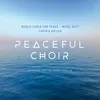 Wandering Soul (arr. for Choir from Hungarian Dance No.1, WoO 1 by David Reichelt) (360° / 8D Binaural Version)