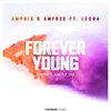 About Forever Young-Ampris & Amfree Mix Song