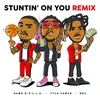 About Stuntin' On You (Remix) Song