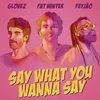 About Say What You Wanna Say Song