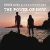 About The Power of Now (Crystal Lake Remix) Song