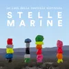 Stelle marine