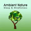 Ambient Nature Sleep Sounds, Pt. 12