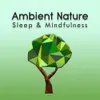 About Ambient Nature Sleep Sounds, Pt. 59 Song