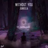 About Without You Song