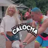 Calocha