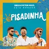 About Pisadinha (Ao Vivo) Song