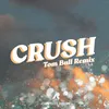 About Crush Tom Bull Remix Song