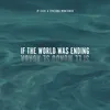 About If The World Was Ending-Spanish Remix Song