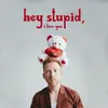 About Hey Stupid, I Love You Song