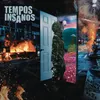 About Tempos Insanos Song