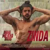 About Zinda Song