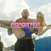 About Roadster Song