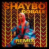 About Dobale-Remix Song