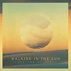 About Walking In the Sun Song