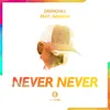 About Never Never Song