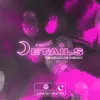 About Details (Tensnake Remix) Song