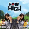 About How High Song